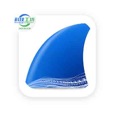 Wireshark 开源的网络嗅探抓包工具 v4.4.6