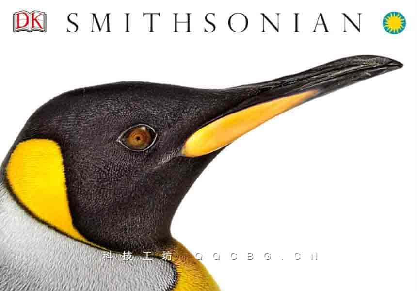 636+Animalthe Definitive VisualGuide DK 动物大百科