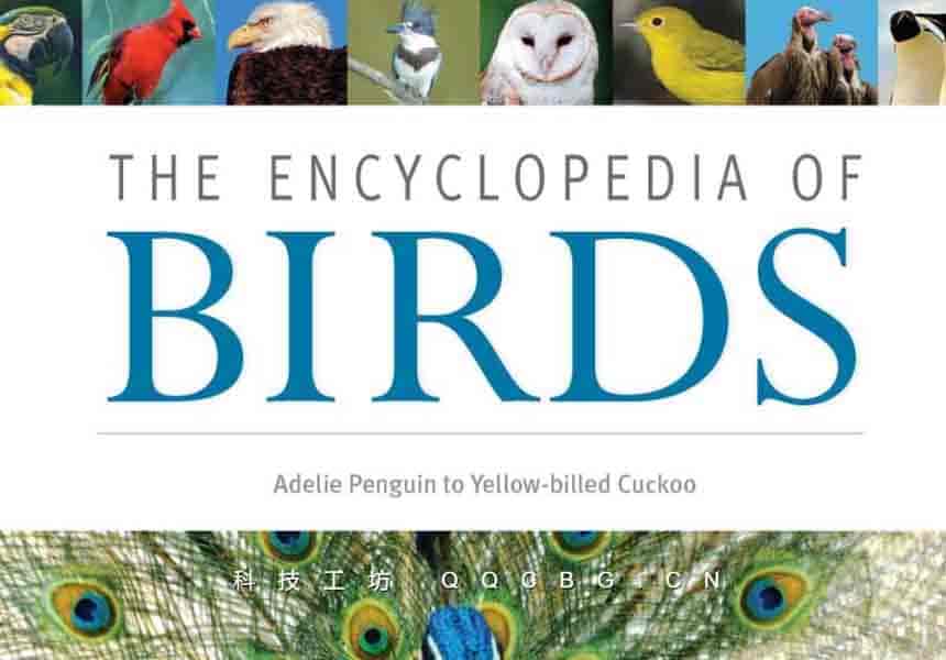 1067+TheEncyclopediaofBirds 鸟类百科全书