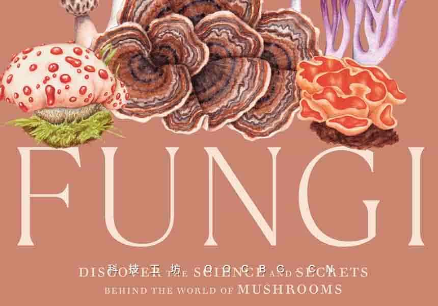 243+FungiDiscover 发现真菌