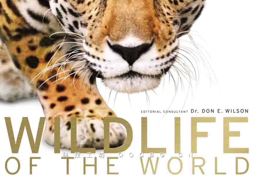 482+WildlifeoftheWorld 世界野生动物